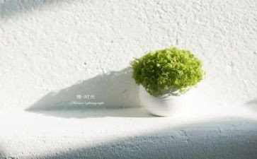 我真慢作文优质7篇