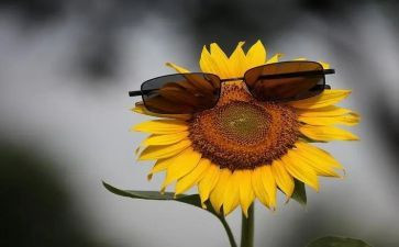 忙作文范文优质5篇