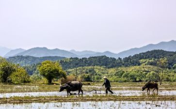 作文忙与闲800字优秀7篇