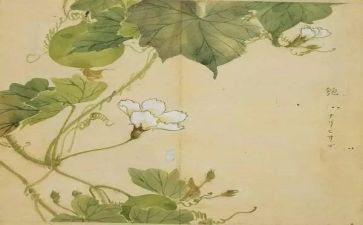以氓为题材的作文7篇