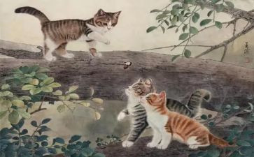 可爱的猫作文最新7篇