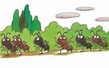 蚂蚁的幼儿教案8篇