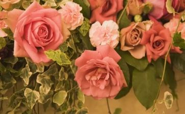 写玫瑰花作文7篇