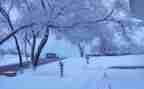 写冬天的雪的作文300字参考5篇