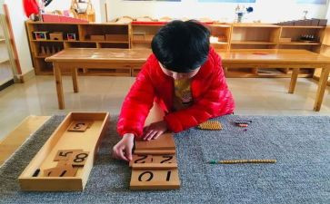 蒙氏培训心得总结参考8篇