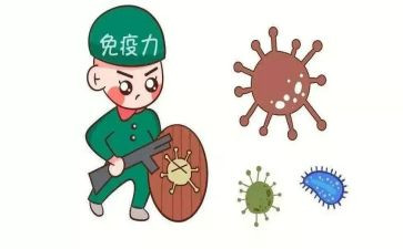 免疫规划个人总结8篇