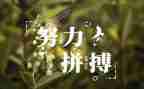 讲名人故事演讲稿推荐7篇
