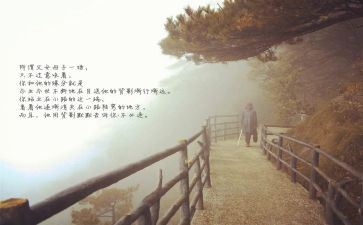 目送的心得体会推荐7篇