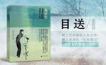 目送读后感500字5篇