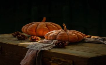 南瓜糕教案参考8篇