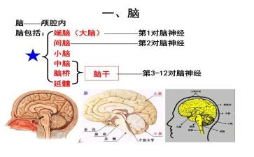 电脑的教案通用5篇