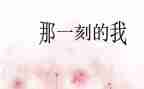 那一刻我作文800字5篇