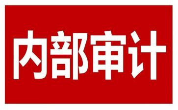 内审科工作总结8篇