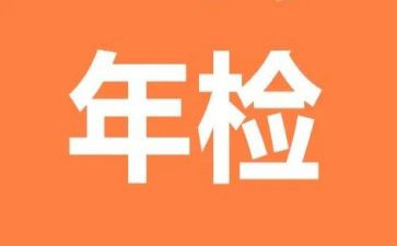 2024年年检自查报告精选6篇