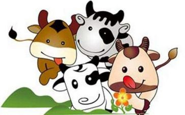 牛年的教案模板6篇
