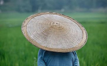 蛇与农夫读后感优质7篇