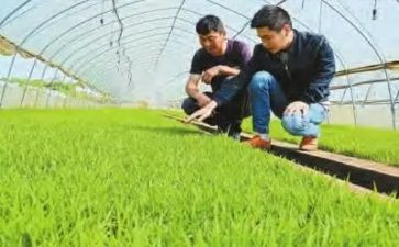 农技员个人总结5篇
