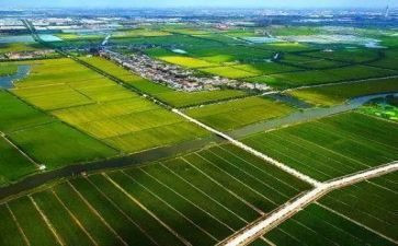 2024年农业工作总结范文优秀7篇