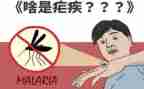 2024年疟疾日宣传活动总结6篇