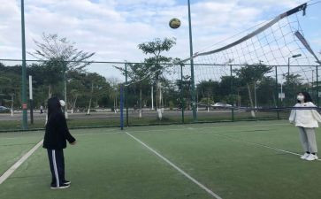 中国女排学习心得体会6篇