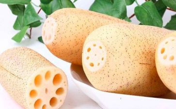 中班藕的教案优质7篇