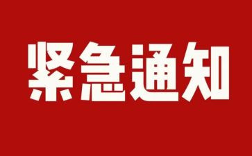 农村违规发展党员排查整顿自查报告6篇