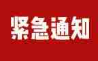 农村违规发展党员排查整顿自查报告6篇