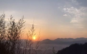 作文盼春节500字优质8篇