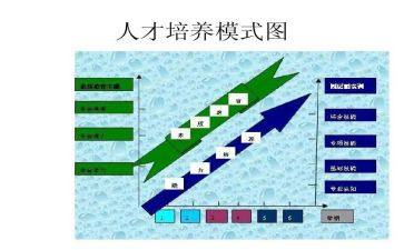 培养期工作总结推荐6篇