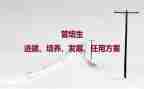 培养阅读心得6篇