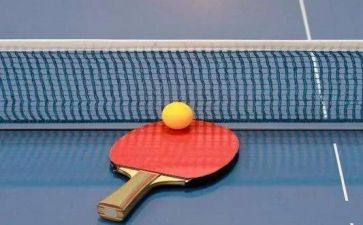 与乒乓球为友作文优质8篇