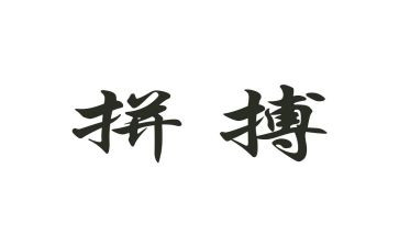 拼来的精彩的作文通用5篇