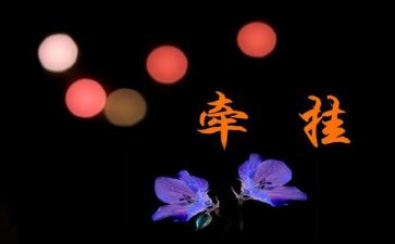 牵挂类的作文模板6篇