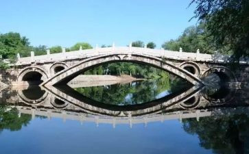 桥的读后感200字作文5篇