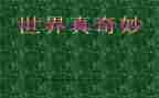 大自然真奇妙作文6篇