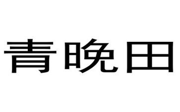 网络青晚观后感推荐6篇