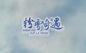《奇遇》作文通用6篇