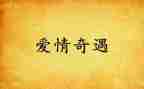 奇遇类作文推荐5篇