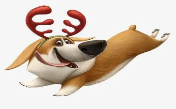 野犬读后感400字5篇