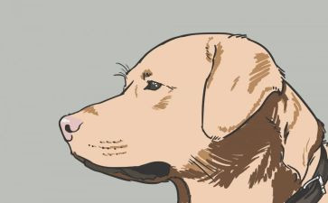 野犬女皇读后感通用6篇