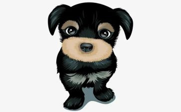 导盲犬的作文8篇
