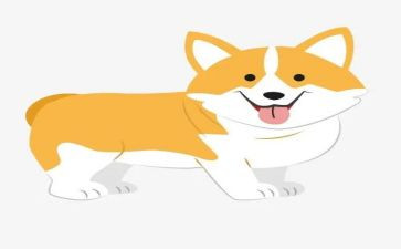 野犬女皇读后感5篇