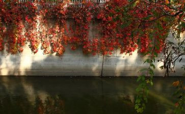 全日制合同最新8篇