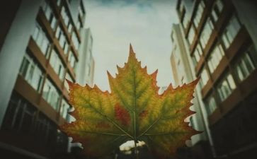 全日制合同优质7篇