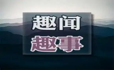 暑假趣事作文250作文优秀8篇