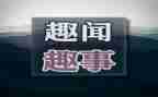 暑假趣事作文250作文优秀8篇