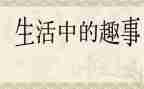 假期趣事的作文500字8篇