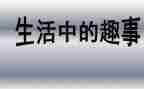 小学趣事作文模板5篇