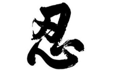 纪录片零容忍观后感5篇