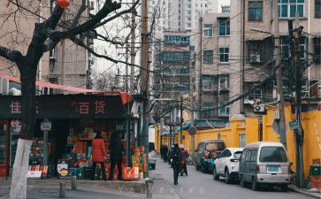 观人间世心得体会7篇